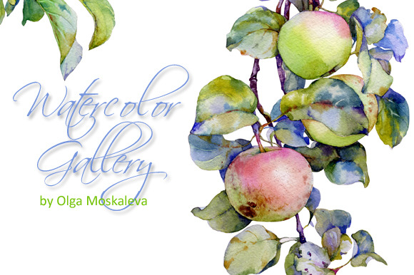 Watercolor Apples Watercolor Apples