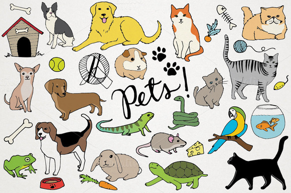 Animals Pets Illustrations