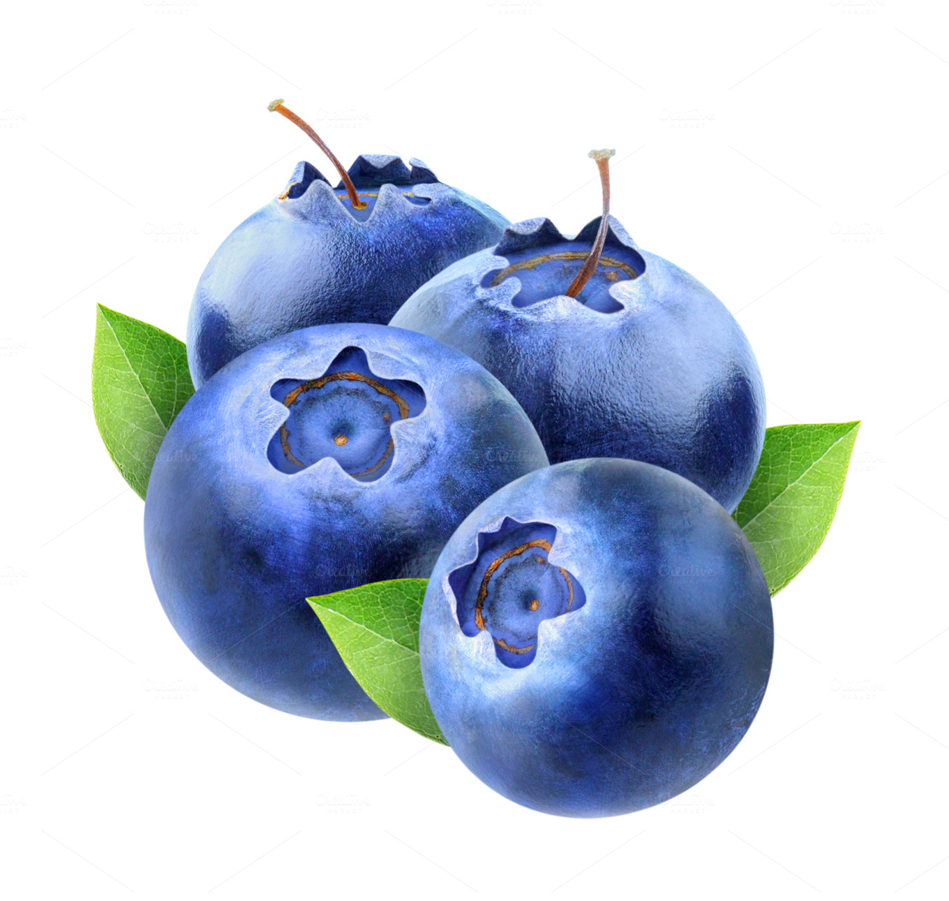 Blueberry Sauce logo