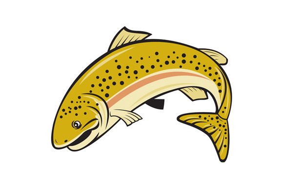 Rainbow Trout Jumping Cartoon Isolat ~ Illustrations on Creative Market