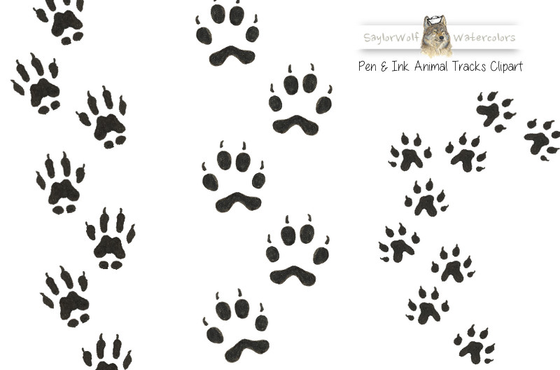 clip art animal footprints - photo #9