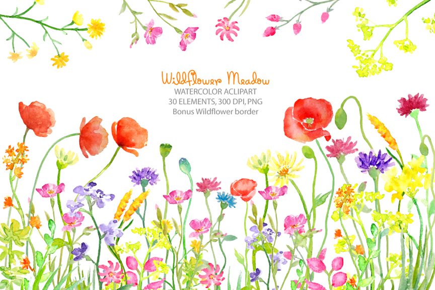 clipart meadow flowers - photo #45