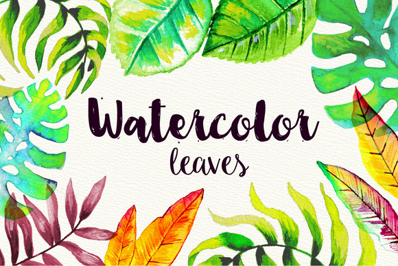 50 High Res Watercolor Leaves 50 High Res Watercolor Leaves