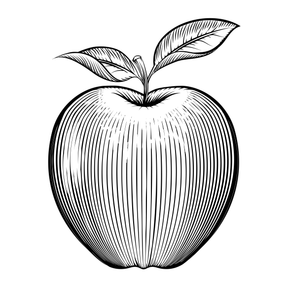 Engraving apple ~ Graphics on Creative Market