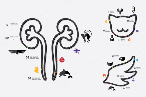 9 Veterinary Infographic 9 Veterinary Infographic