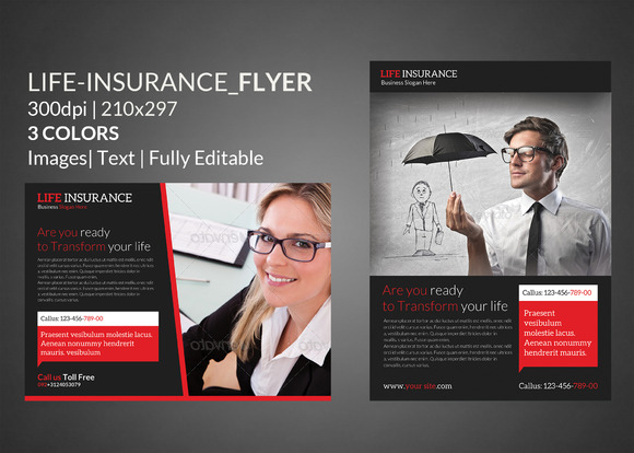 Life Insurance Flyer Print Templates Flyer Templates On Creative Market Insurance Flyer Templates Free