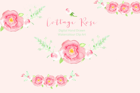 Cottage Rose Watercolor Clip Art Cottage Rose Watercolor Clip Art