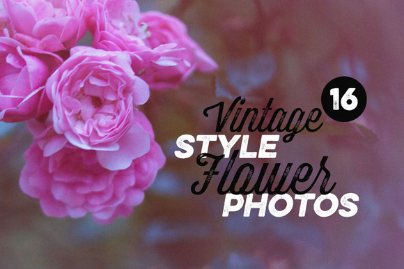 16 Vintage Style Flower Photos 16 Vintage Style Flower Photos
