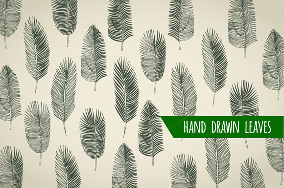 Set Of Hand Drawn Palm Leaves Set Of Hand Drawn Palm Leaves