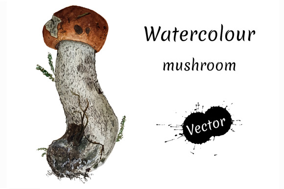 Watercolour Vector Mushroom Watercolour Vector Mushroom