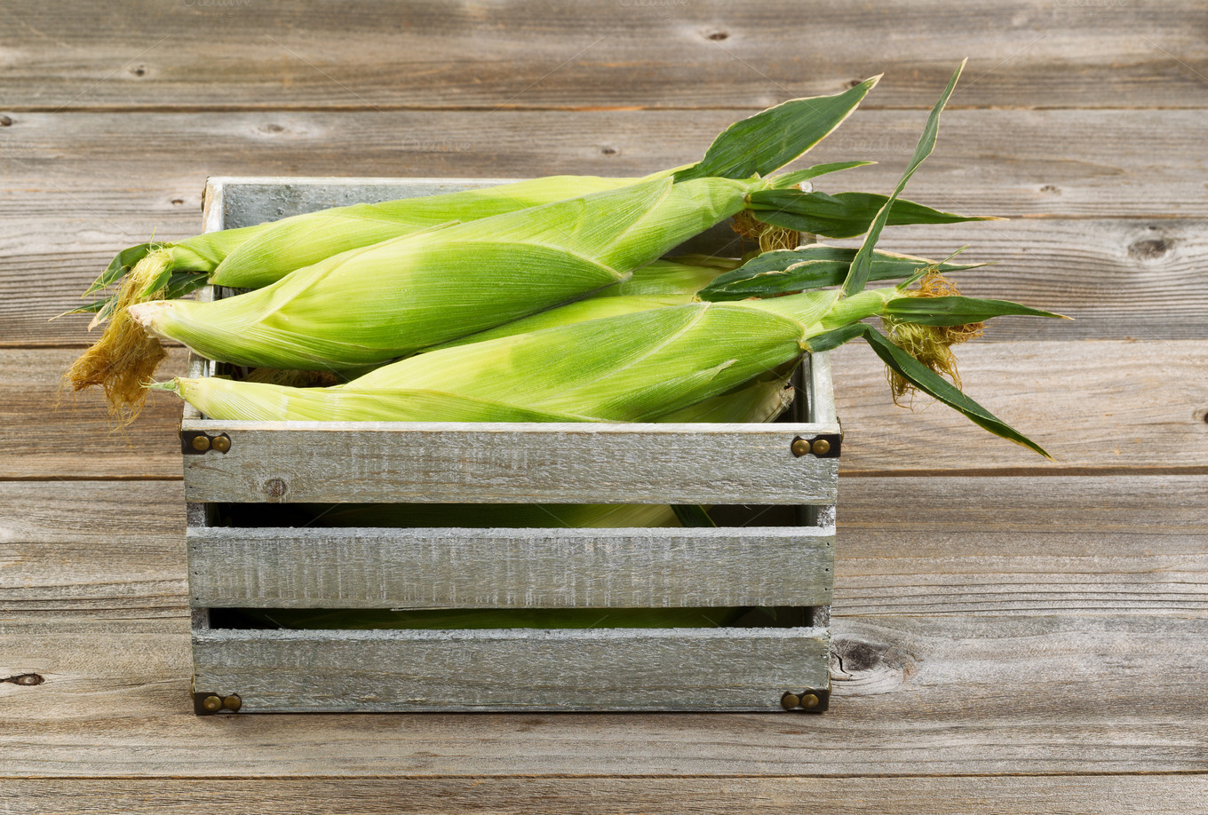 Freshly picked corn in crate ~ Food & Drink Photos on Creative Market