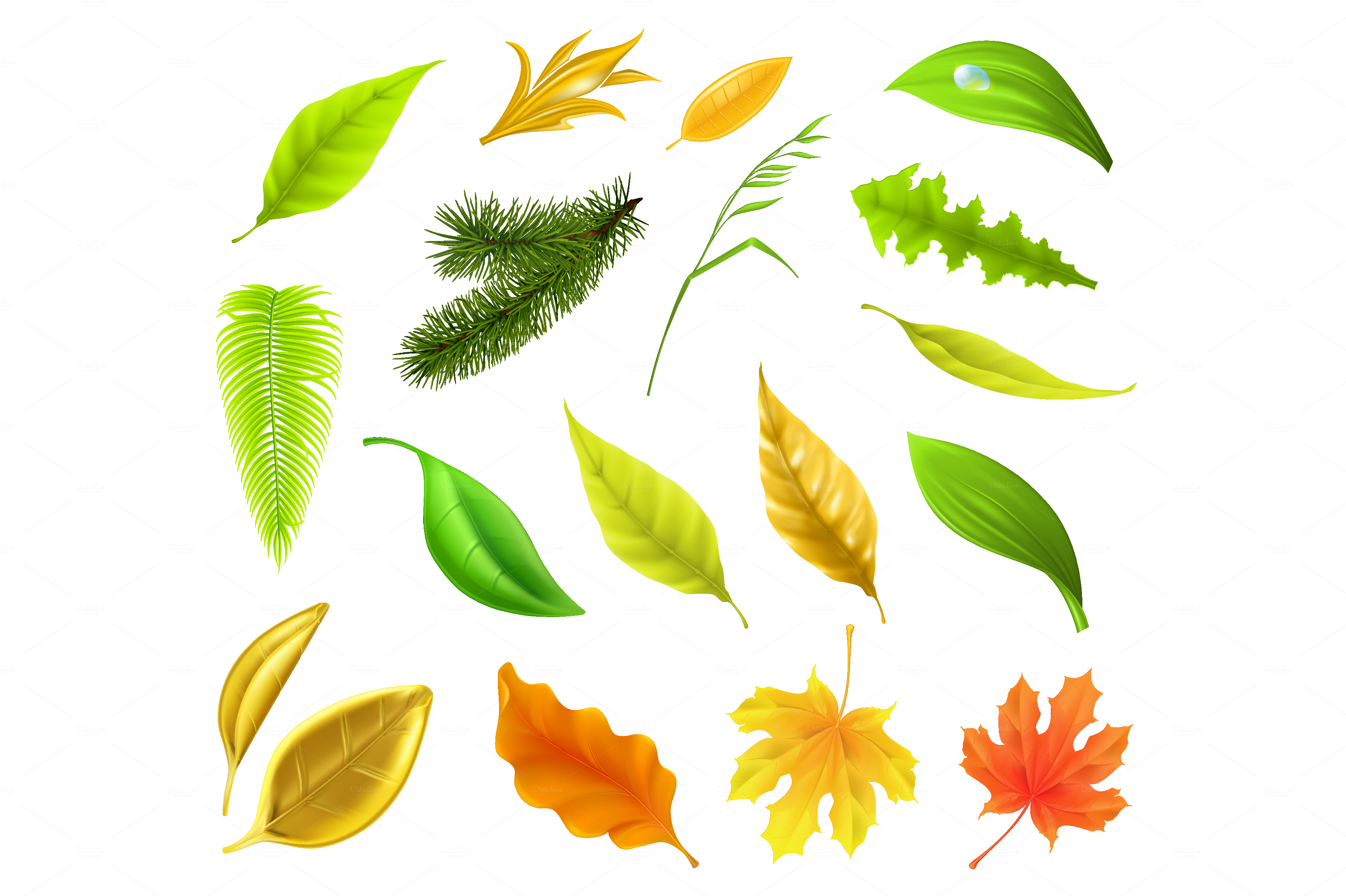 Colorful leaves collection Illustrations on Creative Market