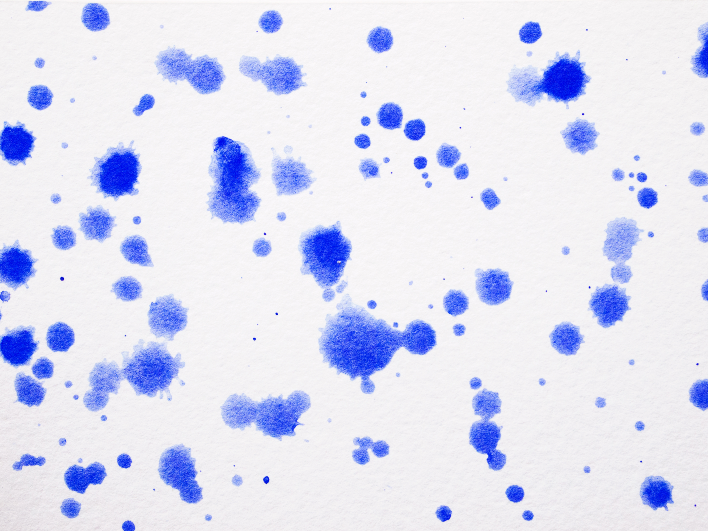 color water color drips color water color drips