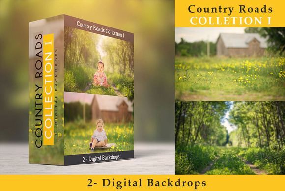 Country Roads Collection I