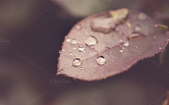 Raindrop Macro Stock Photography ~ Nature Photos on Creative Market