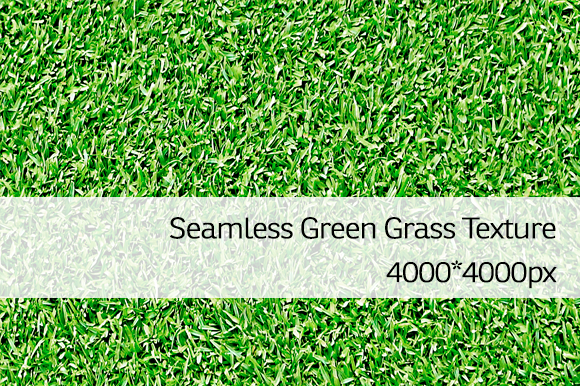 Seamless Green Grass Texture 1 Seamless Green Grass Texture 1