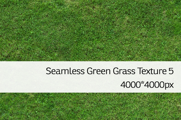 Seamless Green Grass Texture 5