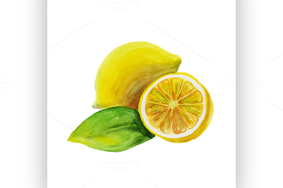Lemon Watercolor Painting Lemon Watercolor Painting