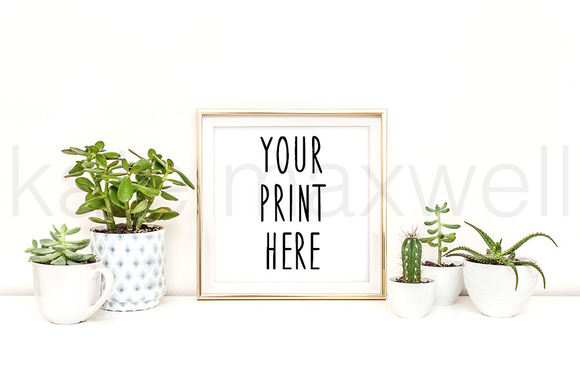 #569 KATE MAXWELL Styled Mockup #569 KATE MAXWELL Styled Mockup