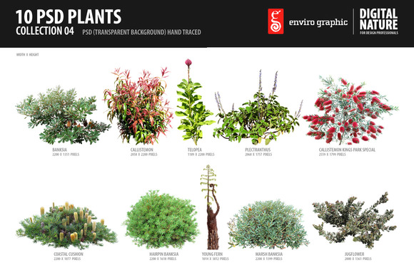 1_psd_plants4 f