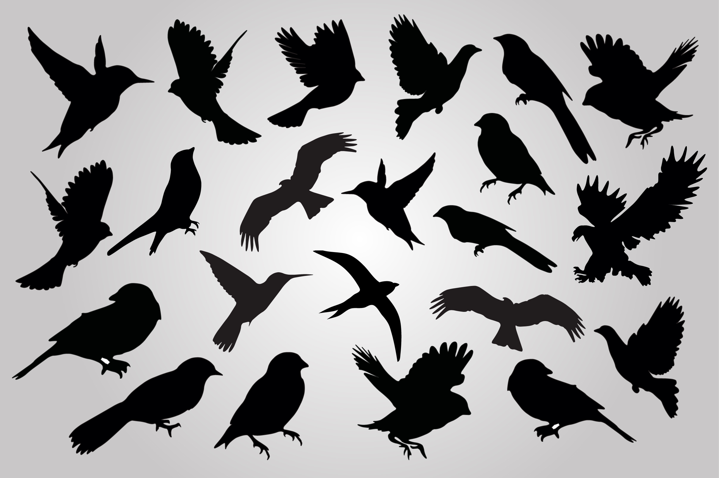 Download 21 Set of birds silhouettes vector ~ Illustrations on ...