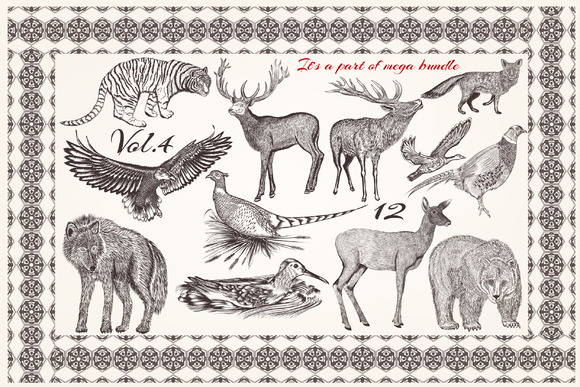 Collection Of Vector Animals Collection Of Vector Animals