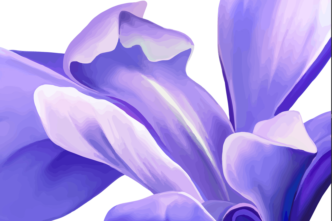 Free Free 81 Iris Flower Svg SVG PNG EPS DXF File