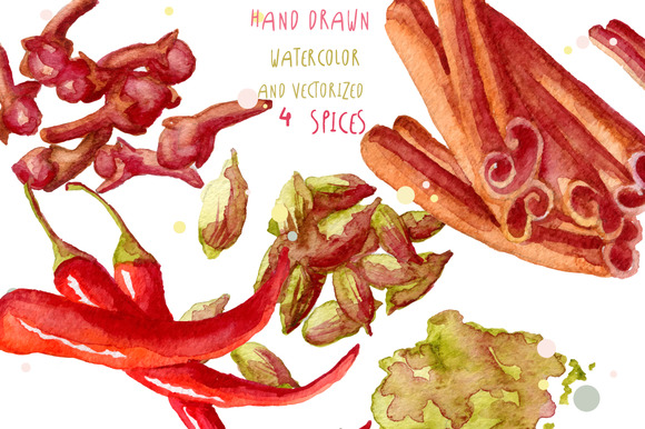 Watercolor Spices Hand Drawn Vector Watercolor Spices Hand Drawn Vector