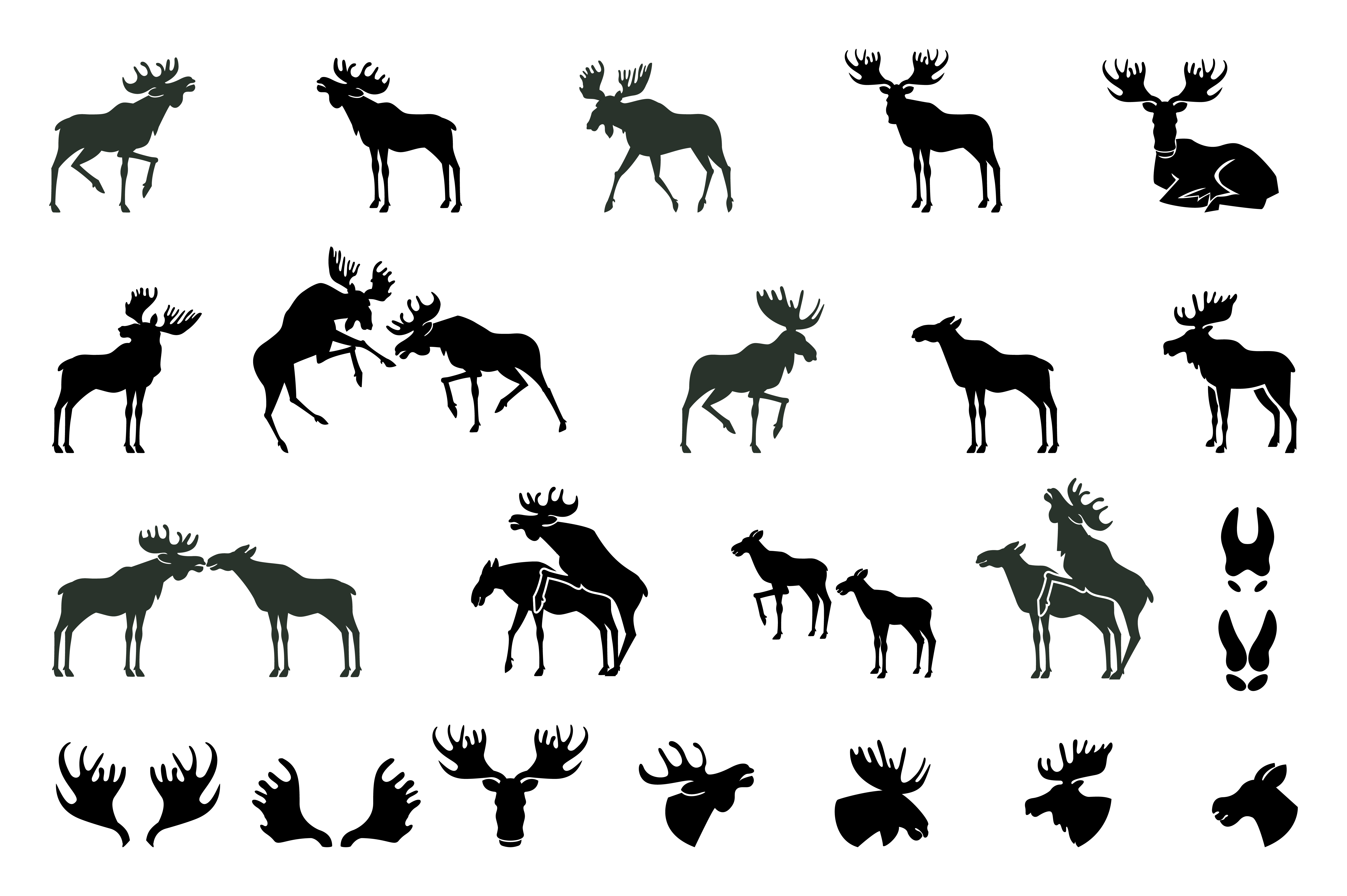 Download Set of Moose Silhouettes. Vector Ima ~ Graphics on Creative Market