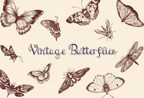 Vintage Butterflies ~ Objects on Creative Market