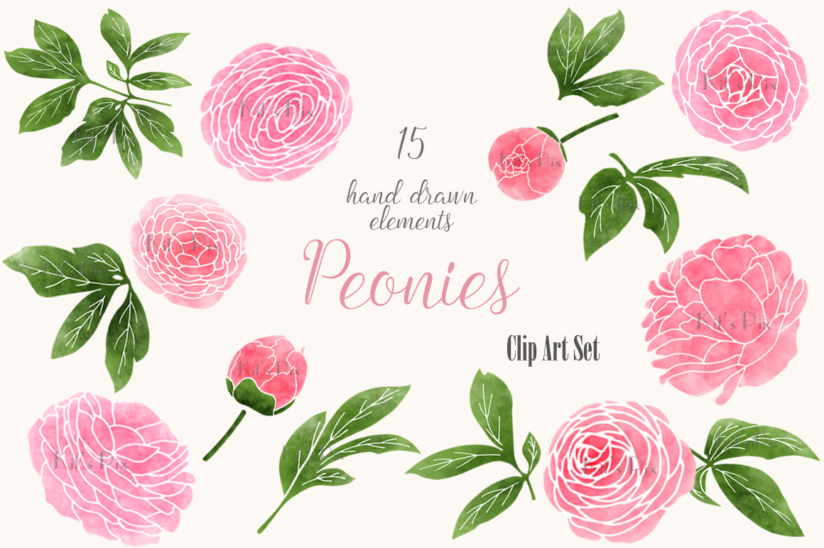 Pink Peonies Clip Art Set ~ Graphics on Creative Market