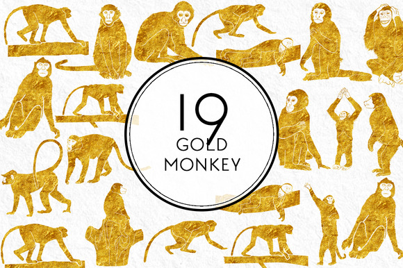 monkey-f.jpg