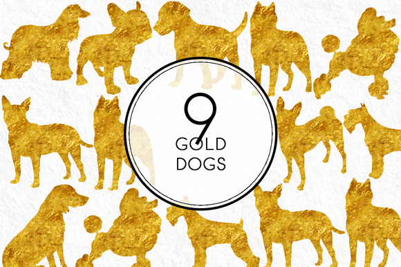 Gold Dogs Gold Dogs