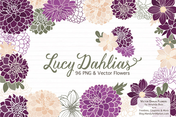 Plum Purple Dahlia Flowers