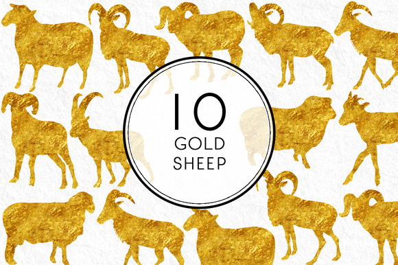 Gold Sheep Gold Sheep