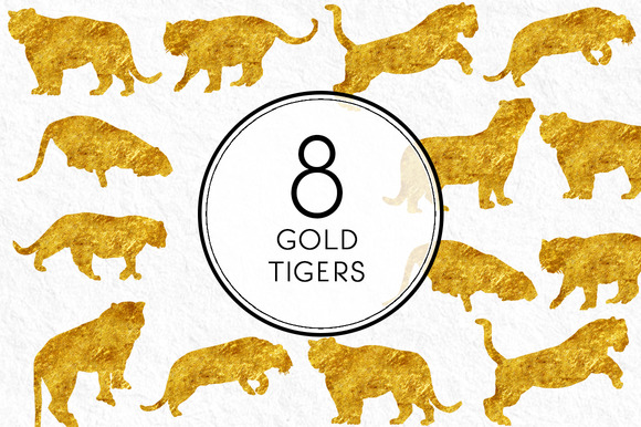 Gold Tigers Gold Tigers