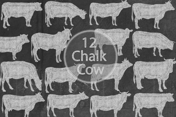 Chalk Cows Chalk Cows
