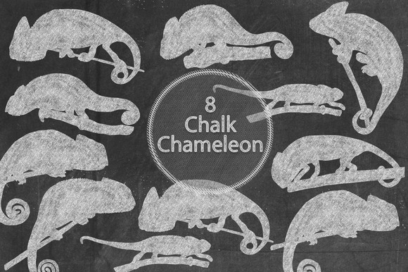 Chalk Chameleon
