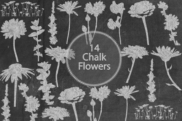 Chalk Flowers Chalk Flowers