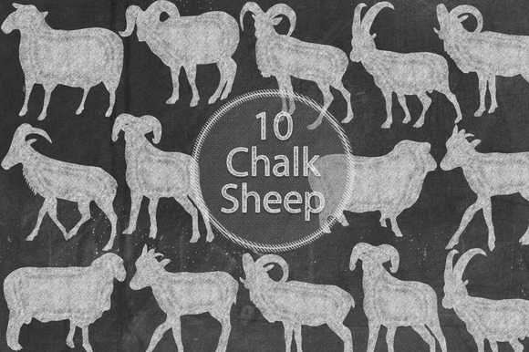 Chalk Sheep Chalk Sheep