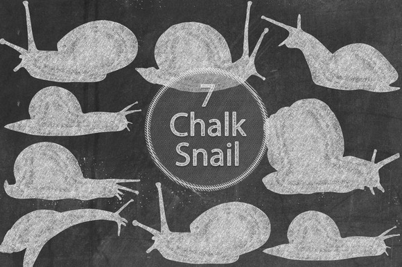 Chalk Snail