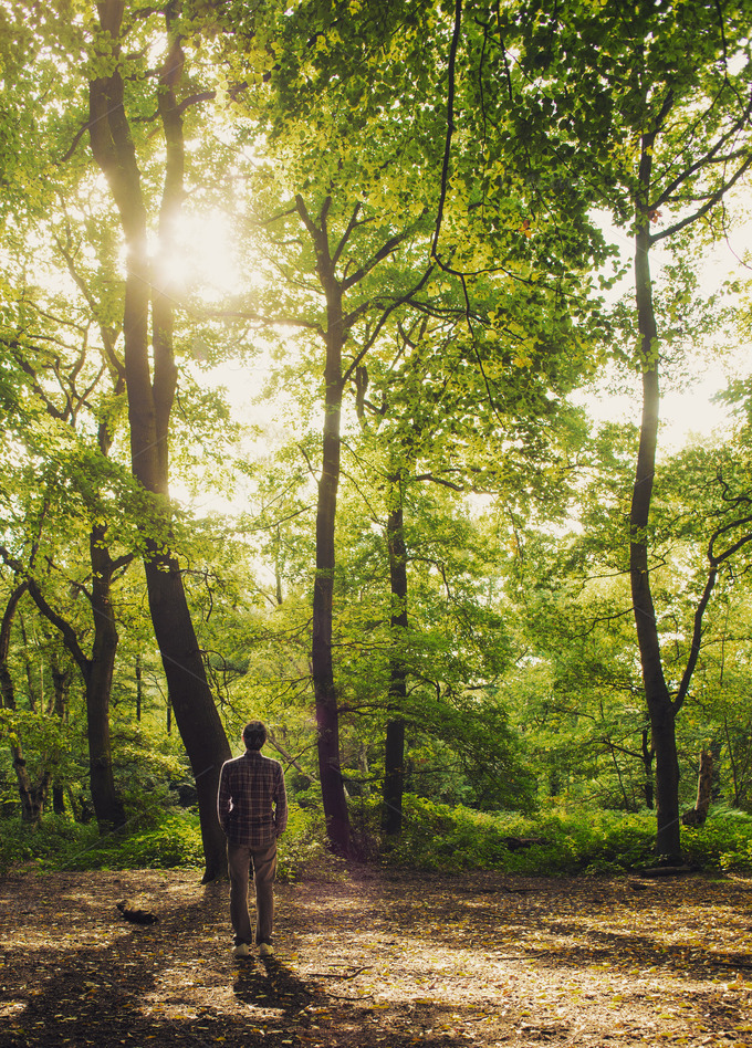  Man  standing  in the woods at sunset Nature  Photos on 