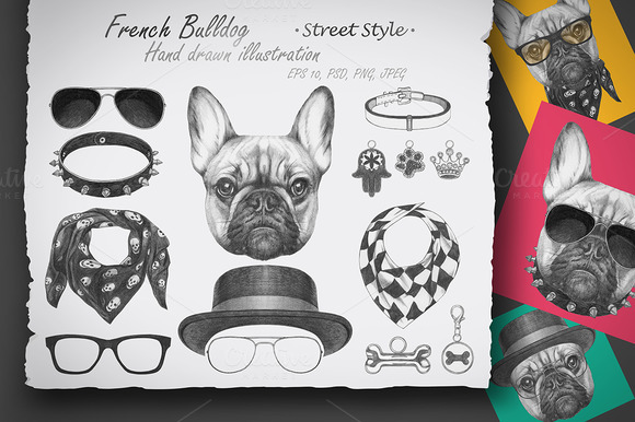 French Bulldog Street Style French Bulldog Street Style