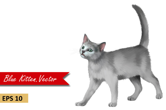 Gray Kitten Vector