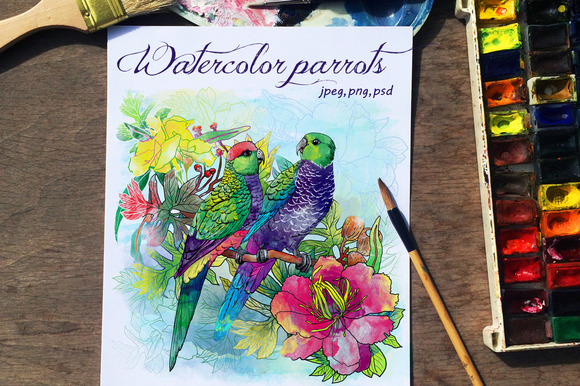Set Of Watercolor Card With Parrots Set Of Watercolor Card With Parrots