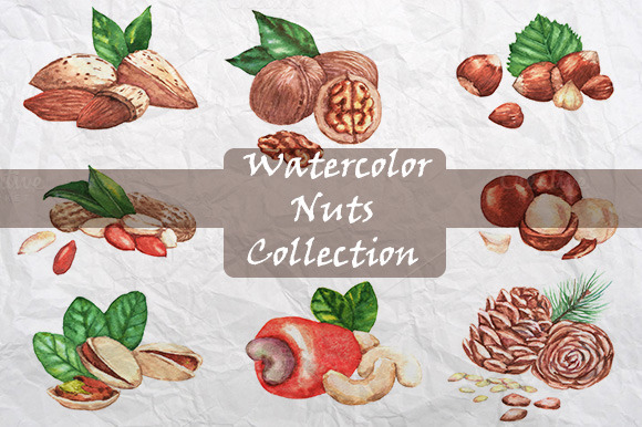 Watercolor Nuts Collection