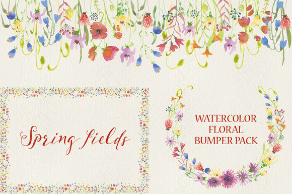 Watercolor Flowers Spring Fields