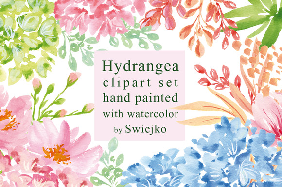 Hydrangea Clipart Set