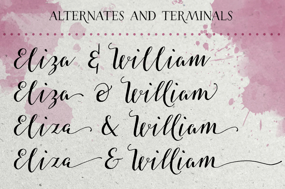 Salt & Spices Pro Script Fonts on Creative Market