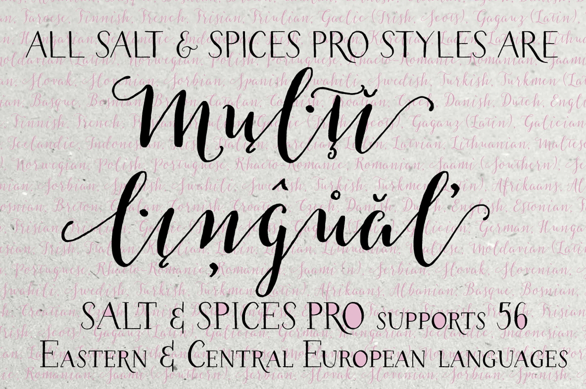Salt & Spices Pro Script Fonts on Creative Market